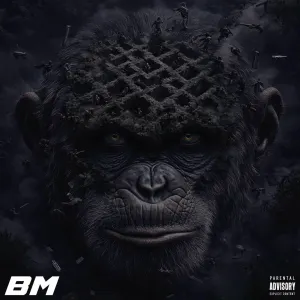 Pochette de Bonne Mentale de Booba