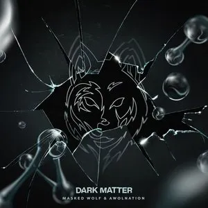 Pochette Dark Matter