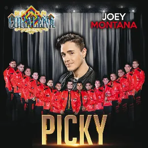 Pochette de Picky de Joey Montana