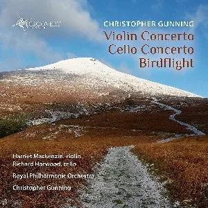 Pochette Violin Concerto / Cello Concerto / Birdflight