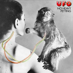 Pochette No Heavy Petting / Lights Out