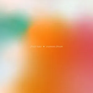 Pochette de Today de Fruit Bats