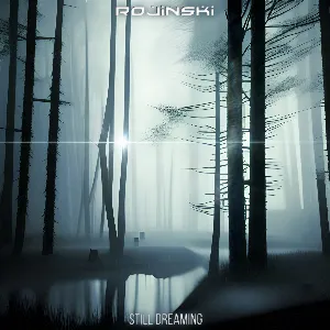 Pochette de Still Dreaming de Rojinski