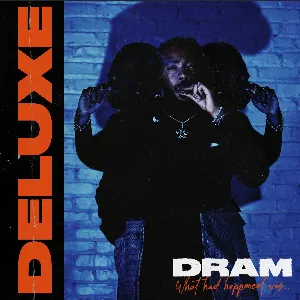 Pochette de What Had Happened Was… de DRAM