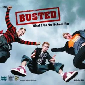 Pochette de What I Go to School For de Busted