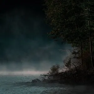 Pochette de The Stillness de Warmth