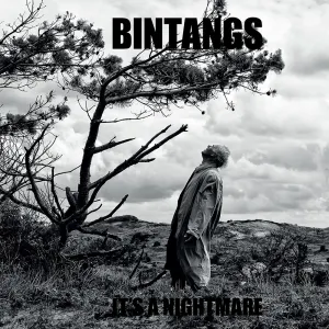 Pochette de It's A Nightmare de Bintangs