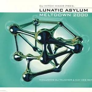 Pochette de Meltdown 2000 de Lunatic Asylum