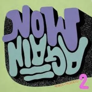Pochette de Slow Pace de Phlocalyst