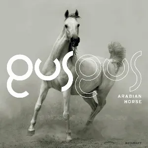 Pochette de Arabian Horse de GusGus