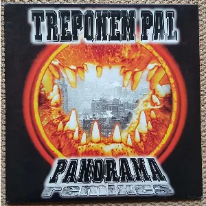 Pochette Panorama Remixes