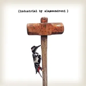 Pochette de Industriale de Alessandro Alessandroni