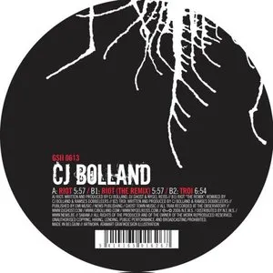 Pochette de Riot de CJ Bolland