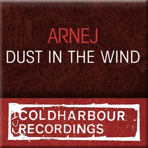 Pochette de Dust in the Wind de Arnej