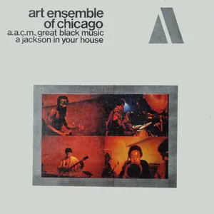 Pochette A Jackson in Your House