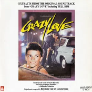 Pochette de Extracts From the Original Soundtrack From "Crazy Love" de Raymond van het Groenewoud