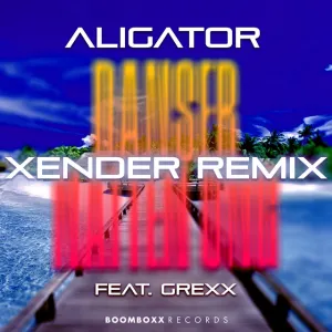 Pochette de Danser Natten Ung (Xender Remix) de DJ Aligator