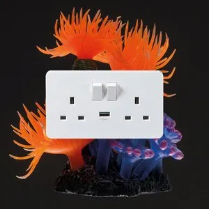 Pochette de Sludge / Broadcaster de Squid