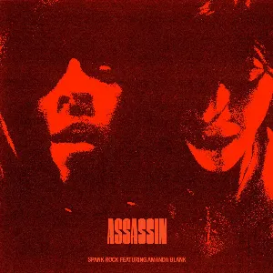 Pochette de Assassin de Spank Rock