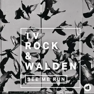 Pochette de See Me Run de TV Rock