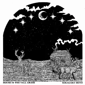 Pochette de House in the Tall Grass de Kikagaku Moyo