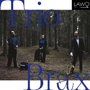 Pochette de Trio Brax de Paul Hindemith