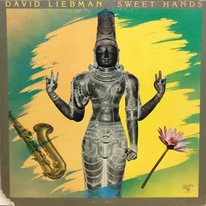 Pochette de Sweet Hands de David Liebman