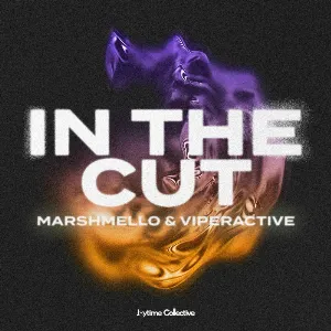 Pochette de In The Cut de Marshmello