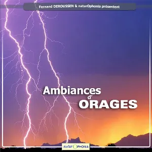 Pochette de Ambiances d'orages - Soundscapes of Thunderstorms de Fernand Deroussen