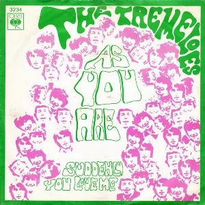 Pochette As You Are / Suddenly You Love Me