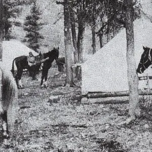 Pochette de Basement Surge de Bear Bones, Lay Low