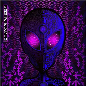 Pochette de Signals from Space de Rom Di Prisco