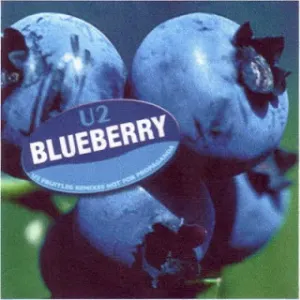 Pochette Blueberry: U2 Fruitleg Remixes Not for Propaganda