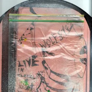 Pochette de Fuck Cleveland de Wolf Eyes