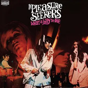 Pochette de What a Way to Die de The Pleasure Seekers