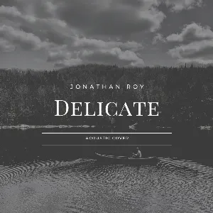Pochette de Delicate de Jonathan Roy