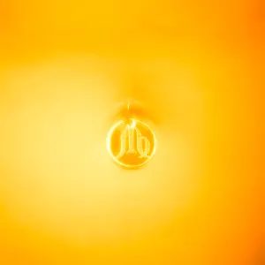 Pochette de Vierge de Ascendant Vierge