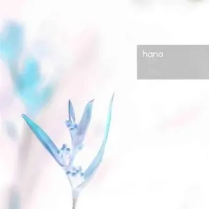 Pochette de hana de sonicbrat