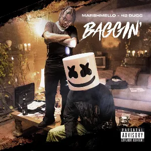 Pochette de Baggin' de Marshmello