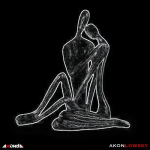 Pochette de Low Key de Akon