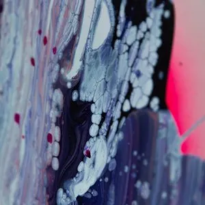 Pochette de Arrow de Goose