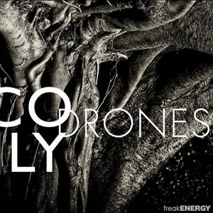 Pochette de Drones de Nico Muhly