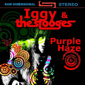Pochette de Purple Haze de Iggy and The Stooges