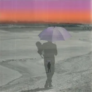 Pochette de American Interior EP3 de Gruff Rhys