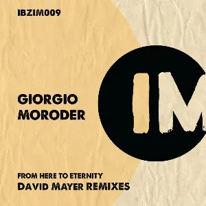 Pochette From Here to Eternity (David Mayer Remixes)