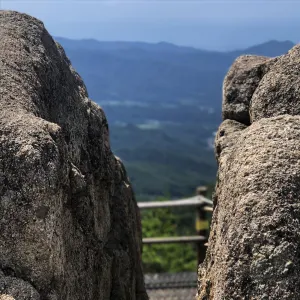 Pochette de Open de Koji Asano