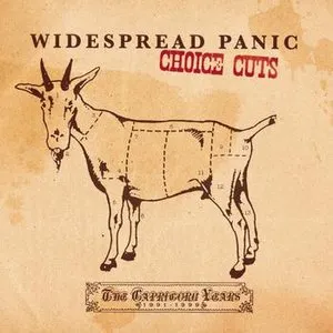 Pochette de Choice Cuts: The Capricorn Years 1991-1999 de Widespread Panic