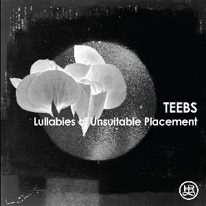 Pochette de Lullabies of Unsuitable Placement de Teebs