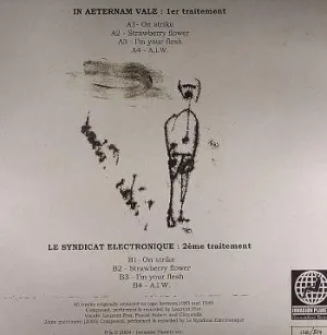 Pochette de Second Traitement de Le Syndicat Electronique