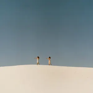 Pochette de CRANES IN THE SKY (KAYTRANADA DJ EDIT) de KAYTRANADA